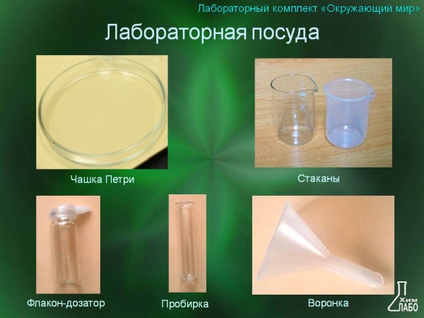 Лабораторный комплект (набор) Окружающий мир