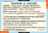 Таблицы демонстрационные "Русский язык. Глаголы"
