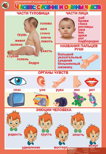 Комплект таблиц. Окружающий мир 5-6 лет. "Я познаю мир".