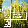 Генетика и селекция растений Генетика и селекция растений