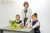 Чудо-грядка