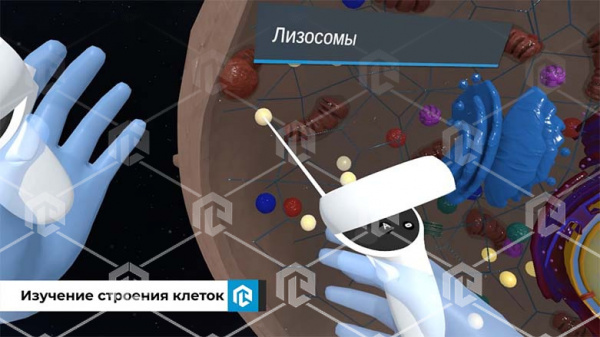 Виртуальный учебный комплекс «Наглядная биология PL-BiologyVR» Максимальная, К3