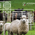 Эффективное животноводство и современные корма Эффективное животноводство и современные корма