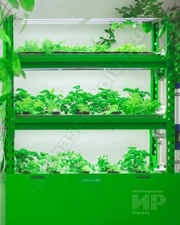 Мобильная многоярусная гидропонная установка модульного исполнения  VeFarm-ED