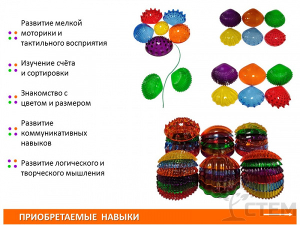 Ракушки морские прозрачные (тактильные) 108 шт. 