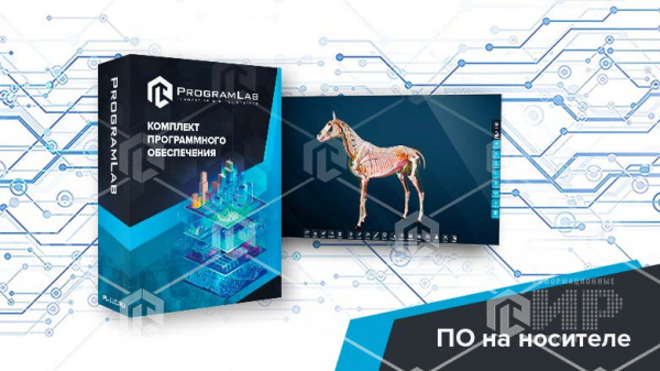 Виртуальный учебный комплекс "Интерактивный трехмерный атлас анатомии лошади"