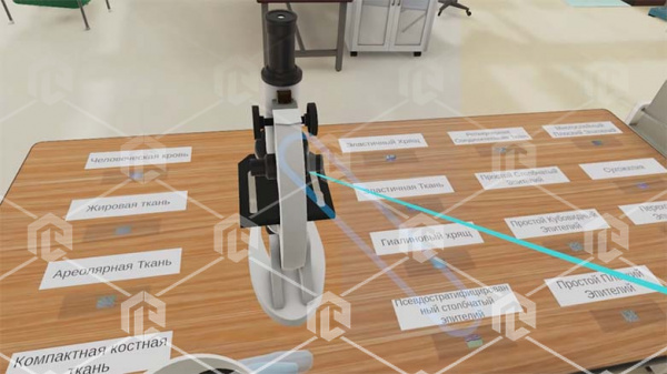 Виртуальный учебный комплекс «Наглядная биология PL-BiologyVR» Максимальная, К3