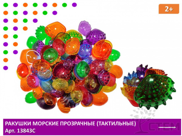 Ракушки морские прозрачные (тактильные) 108 шт. 