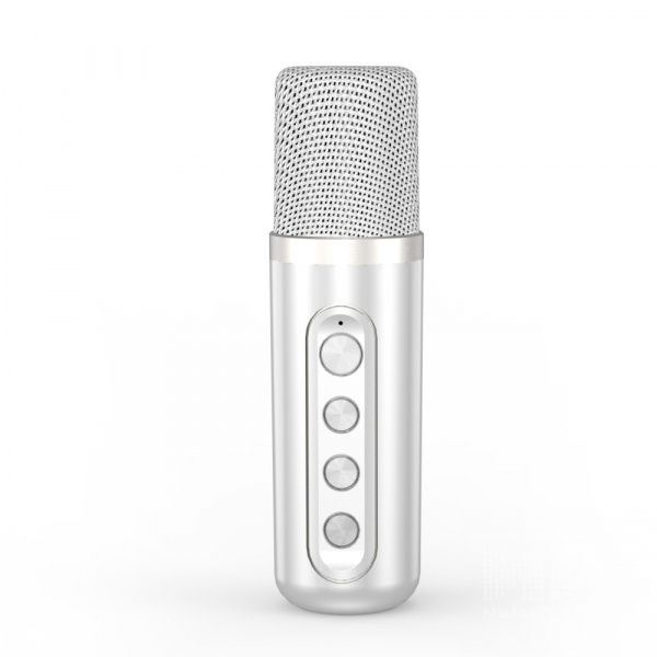 Переносная караоке система iconBIT K902W