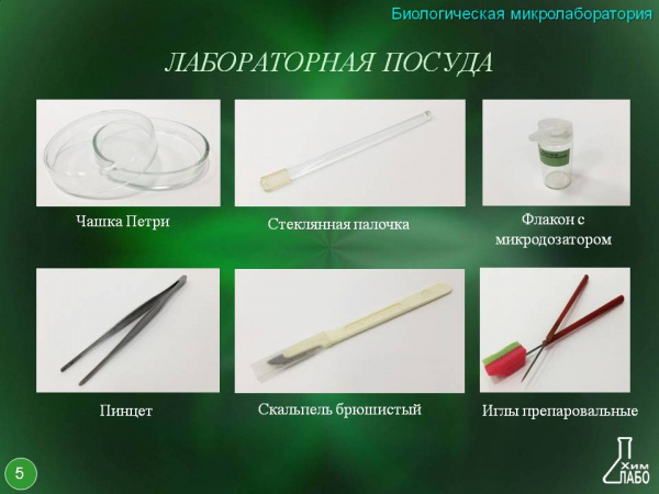 Биологическая микролаборатория с микропрепаратами 