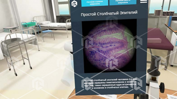 Виртуальный учебный комплекс «Наглядная биология PL-BiologyVR» Максимальная, К3