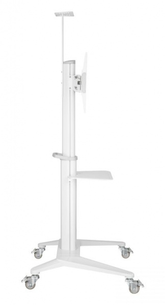 Стойка мобильная Digis DSM-P764C