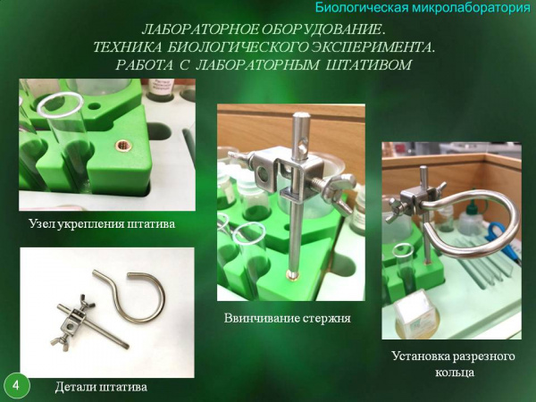 Биологическая микролаборатория с микропрепаратами 